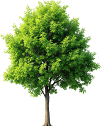 čiščenje sončne elektrarne cena čiščenja sončne elektrarne čiščenje sončnih elektrarn cena čiščenje sončnih elektrarn čiščenje fotovoltaičnih panelov