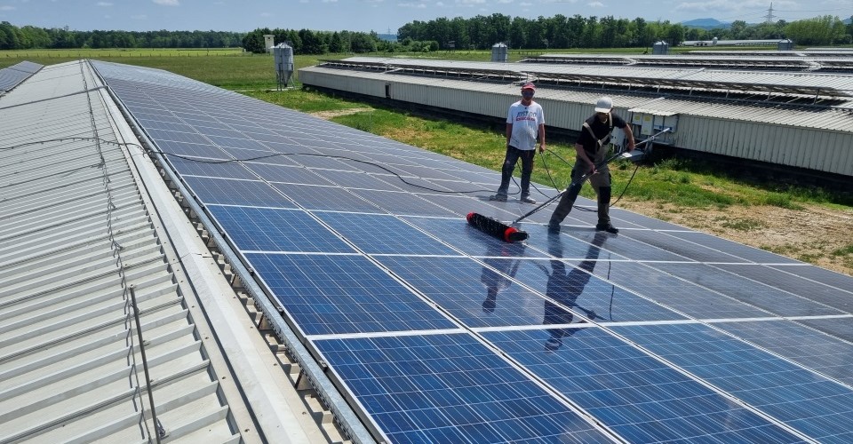 Cena čiščenja sončne elektrarne PP Ptuj 1 #čiščenje sončne elektrarne #cena čiščenja sončne elektrarne #čiščenje sončnih elektrarn cena #čiščenje sončnih elektrarn #čiščenje fotovoltaičnih panelov