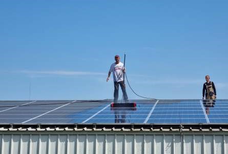 Cena čiščenja sončne elektrarne PP Ptuj 2 Blog Image